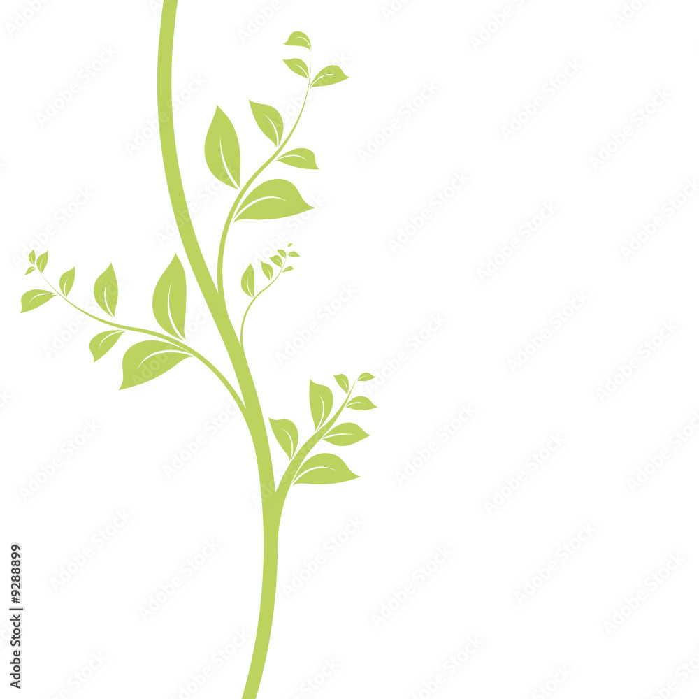 vecteur série - floral design feuilles et liane vectorielle