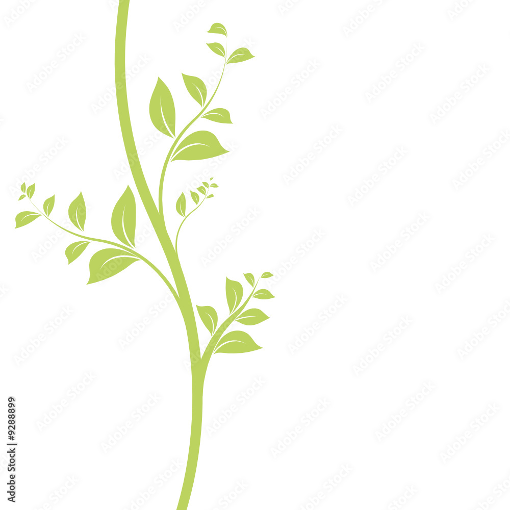 Fototapeta premium vecteur série - floral design feuilles et liane vectorielle