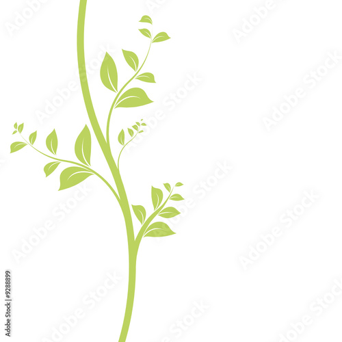 vecteur série - floral design feuilles et liane vectorielle