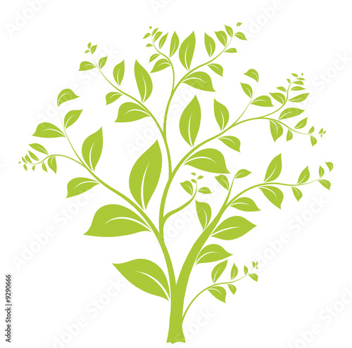 vecteur série - floral design arbre et feuilles vectoriel