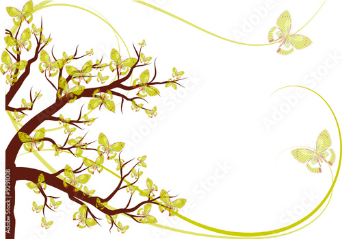 arbre aux papillons janonais