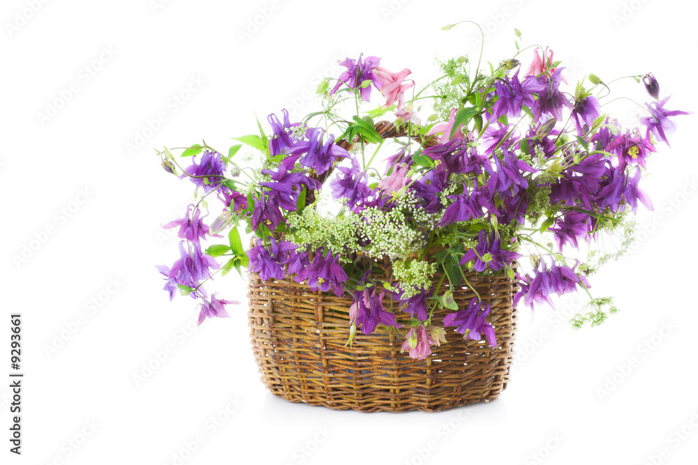 Wicker basket with wild flowers