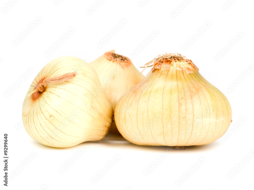 Obraz premium Onions isolated on white.