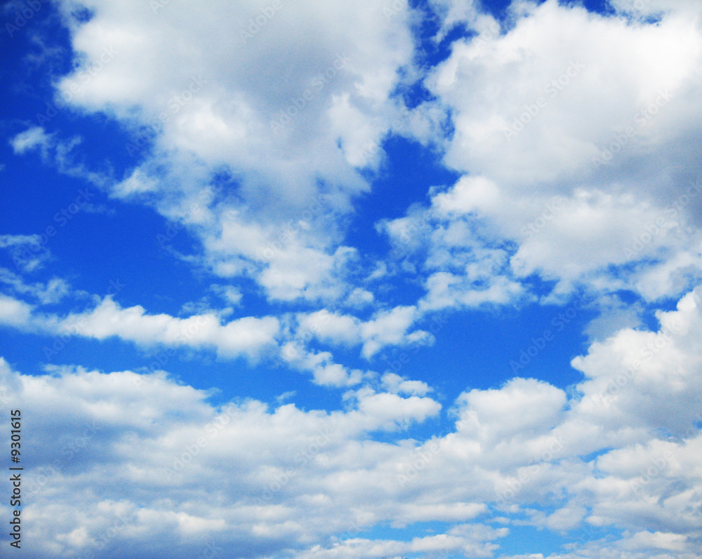 Fototapeta premium spring sky