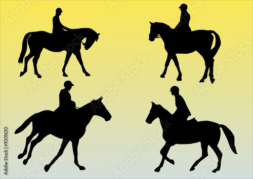 illustration of four horses