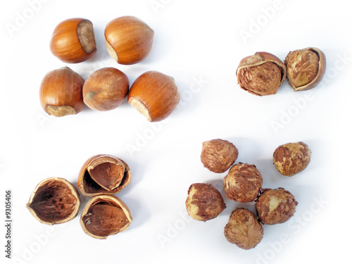 hazelnuts