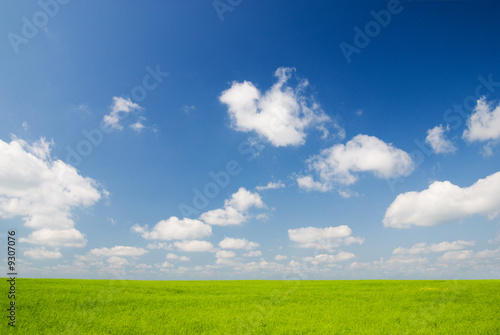 field of flax and blue sky © Iakov Kalinin