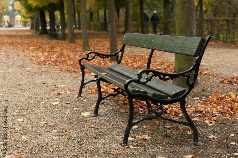 Bench in an autumn park with fallen leaves