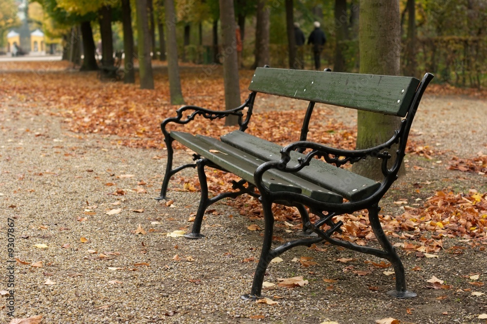 Bench in an autumn park with fallen leaves Bench in an autumn park with fallen leaves
