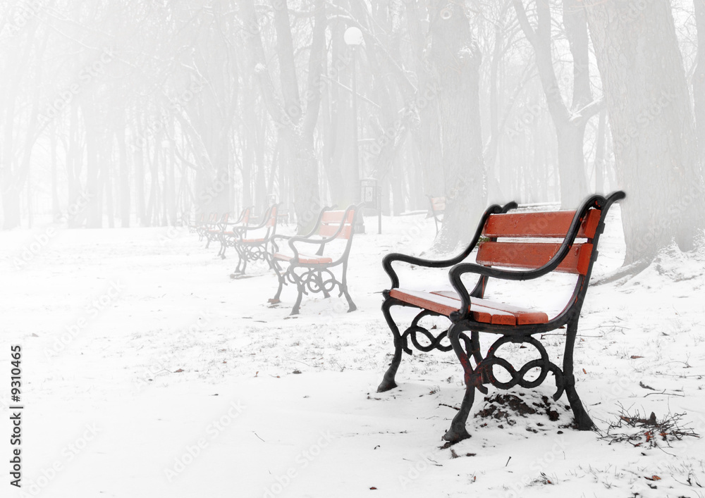 Red bench in the fog in winter