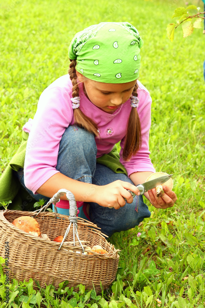 Fototapeta premium Young girl picking mushrooms, fullbasket with mushrooms