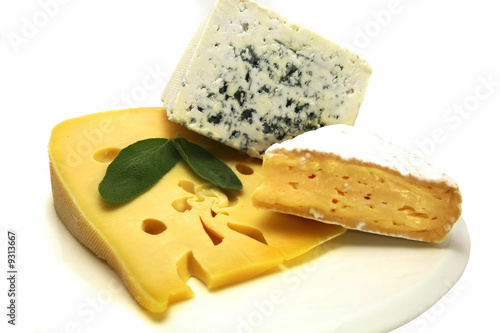 swiss cheese roquefort and camembert on white dish