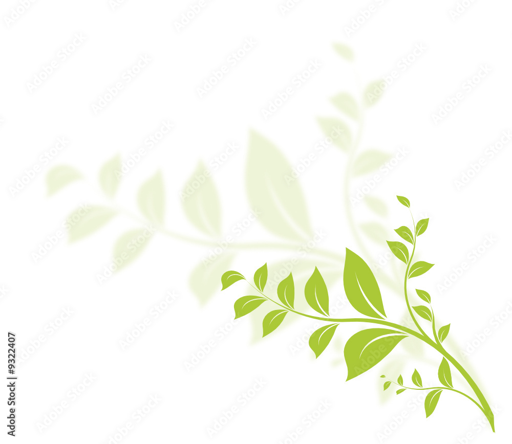 vecteur série, floral design nature graphisme vectoriel