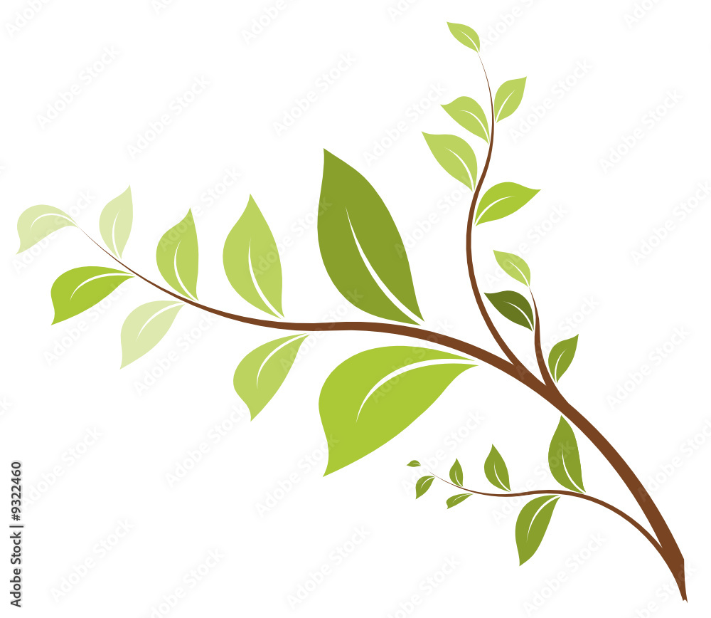 vecteur série SVG, illustration arbre, branche vectorielle