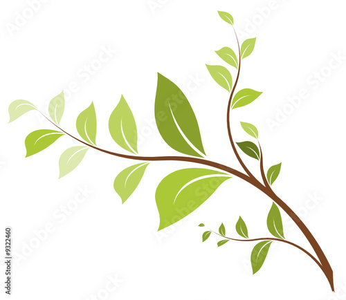 vecteur série SVG, illustration arbre, branche vectorielle
