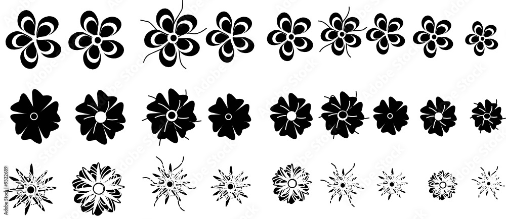flowers flowers