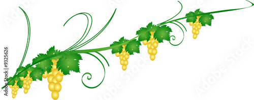 decorazione uva