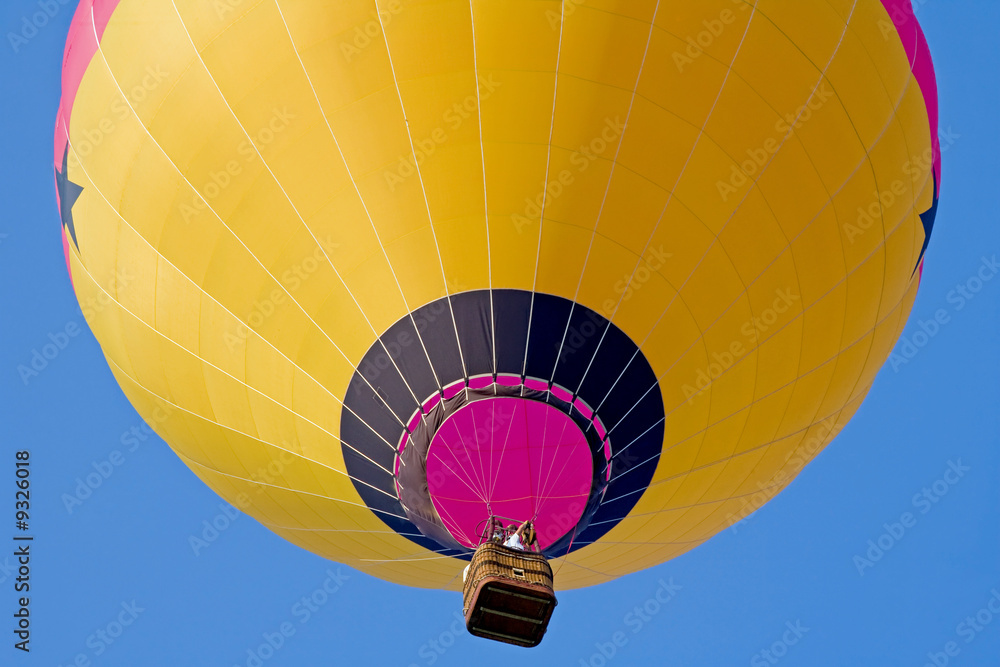 Obraz premium Hot Air Balloon