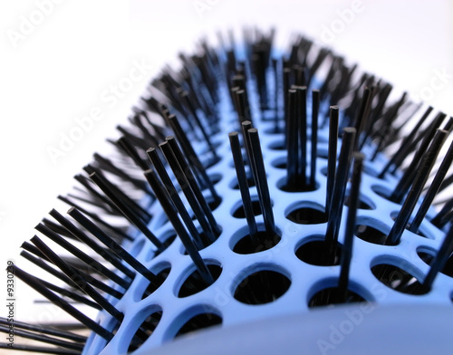 macrofotografia cepillo azul
