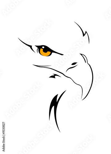 vector image of eagle head isolated on white photo