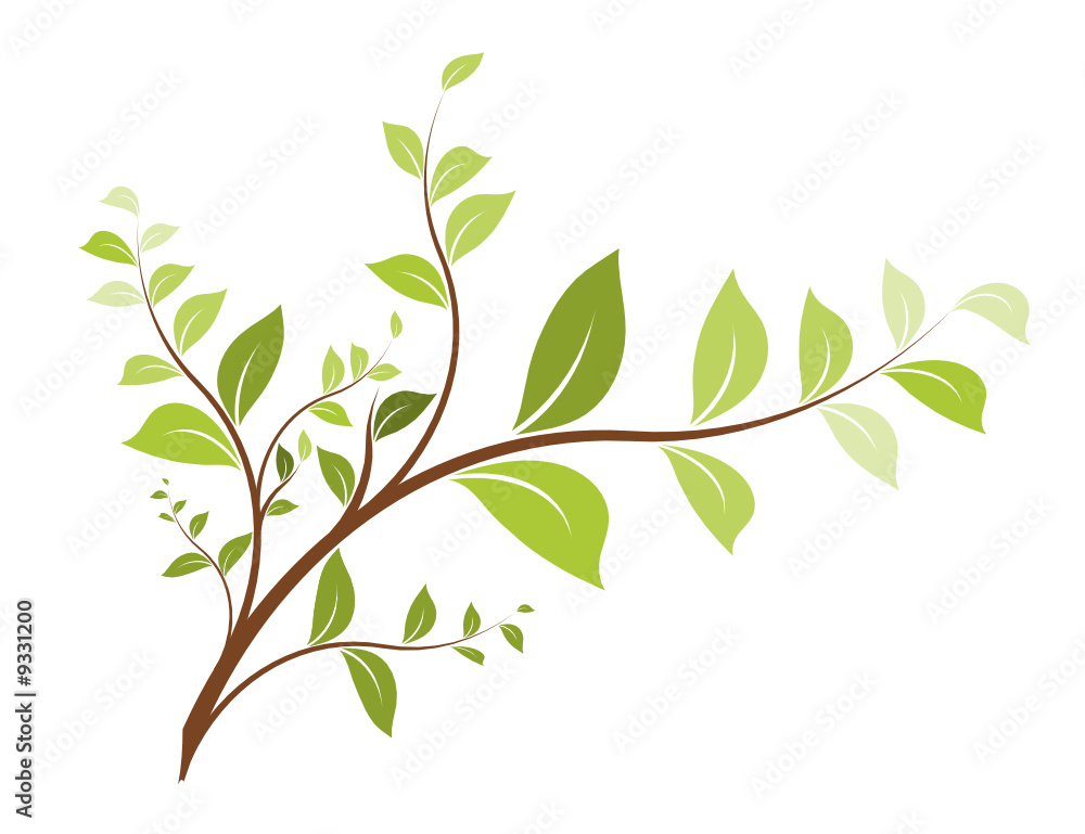 vecteur série - arbre branche vectorielle sur fond blanc