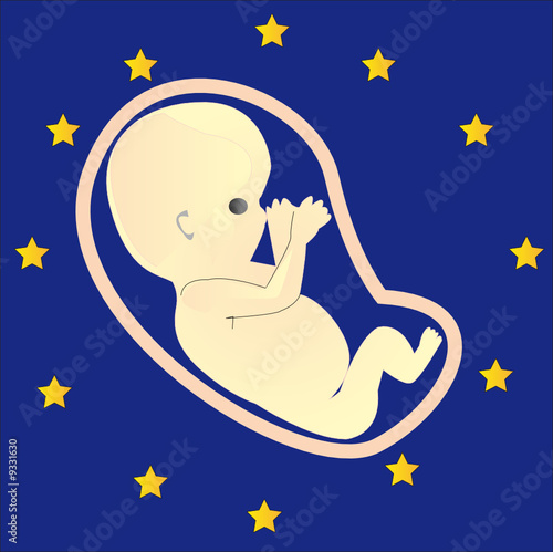 fetus