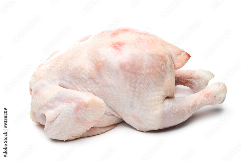 Fresh chicken on a white background. Close up Fresh chicken on a white background. Close up