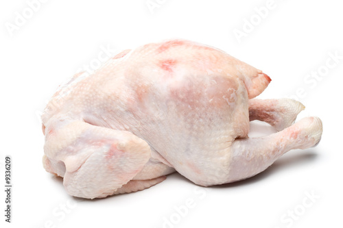 Fresh chicken on a white background. Close up