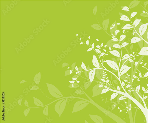 vecteur série - branche d'arbre vectorielle sur fond vert