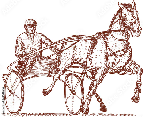 Harness racing
