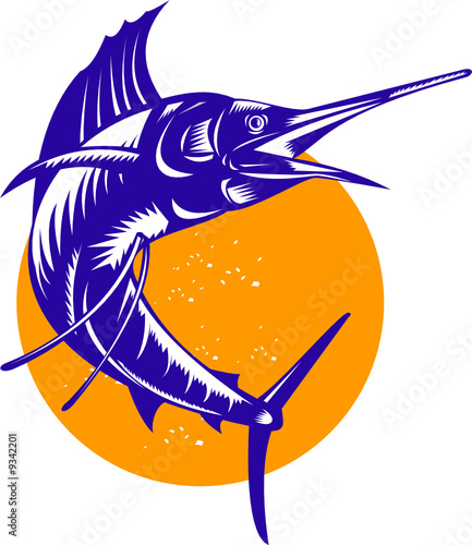 Sailfish