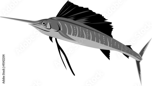 Sailfish