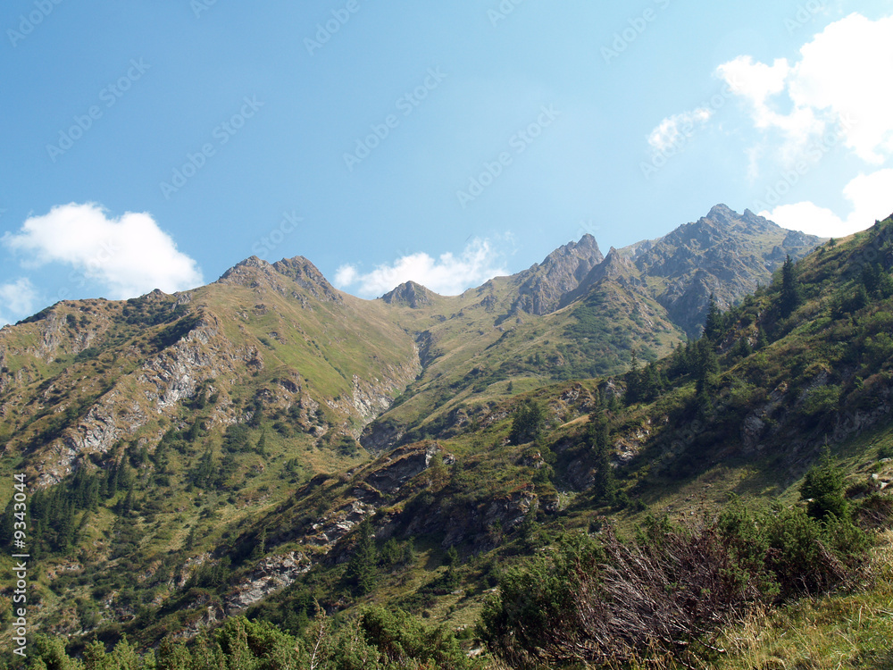 summer mountain landscape in romanian carpathians