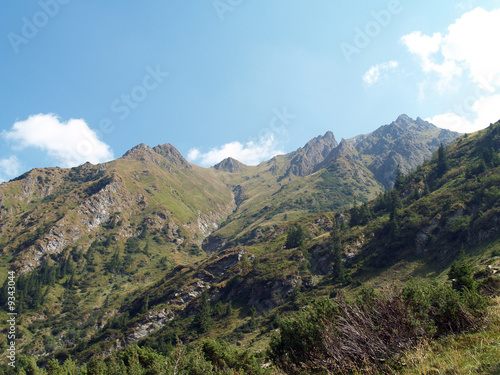 summer mountain landscape in romanian carpathians