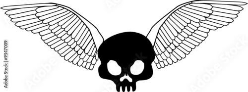 skull & bird wings