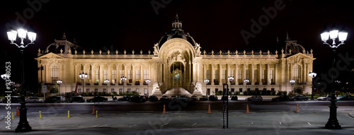 Petit Palais (Small Palace) in Paris at night #9348053