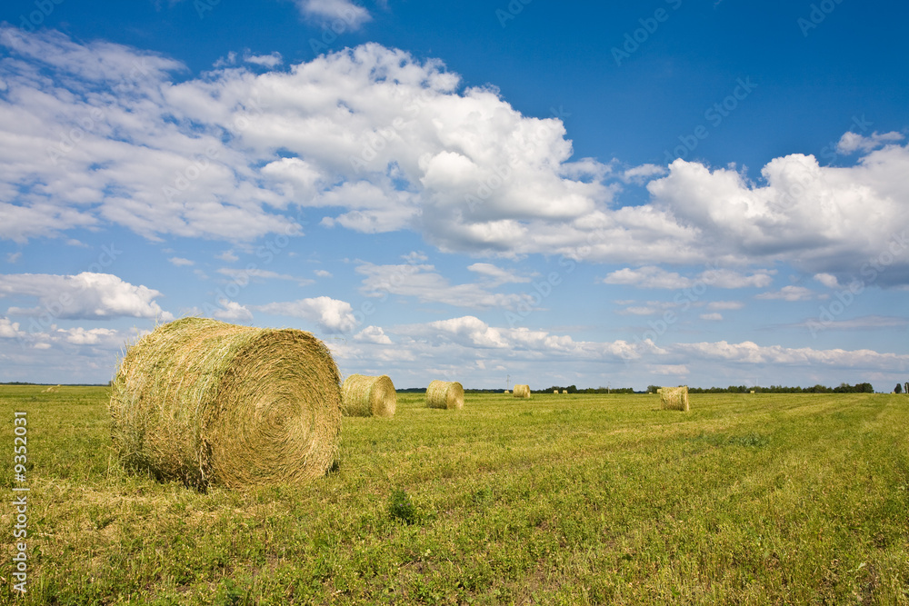 agriculture series: field with ready hayrick agriculture series: field with ready hayrick
