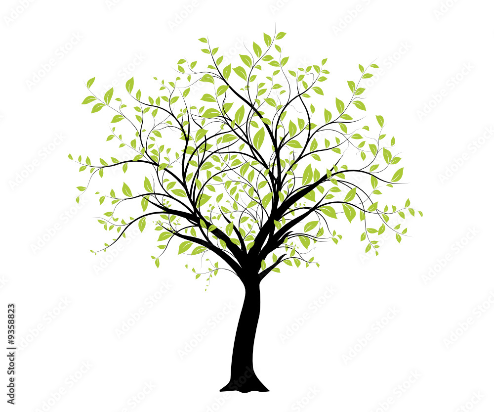 vecteur série - décoration vectorielle verte arbre sur blanc