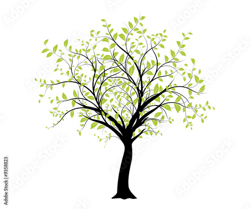 vecteur série - décoration vectorielle verte arbre sur blanc