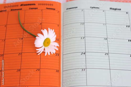 Fotografija on photo daisywheel in diary book