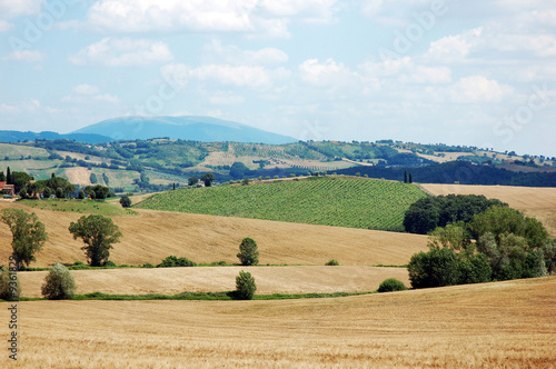 colline