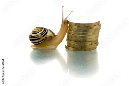 Snail climbing coin pile