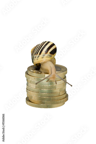 Snail on coin pile looking down