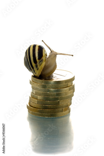 Snail on coin pile looking backward
