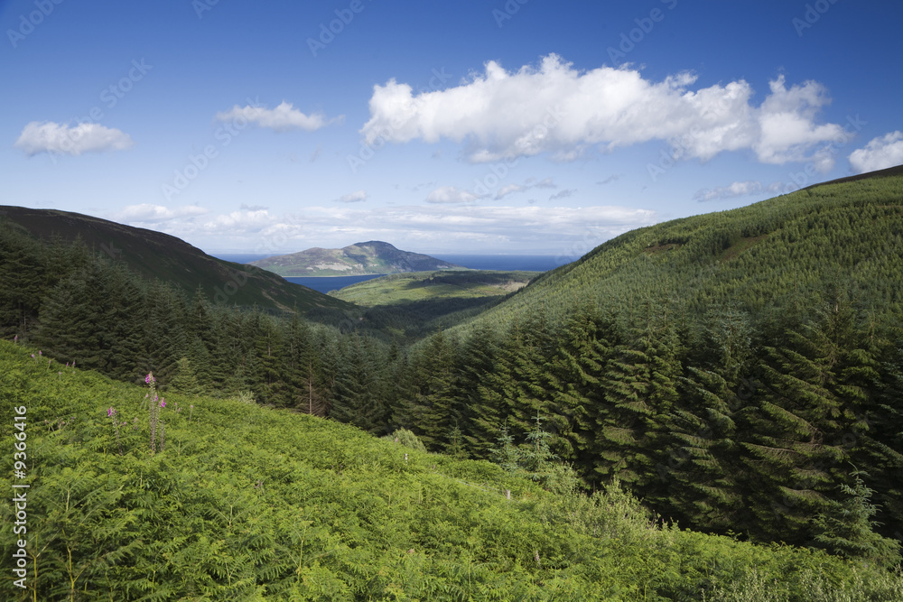 Naklejka premium Holy Isle off Arran from Monamore Glen in Scotland