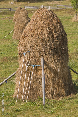 Image of a hayrick and specific tools for haywork