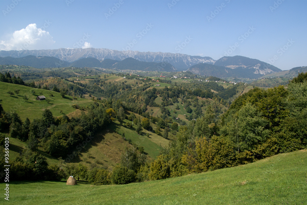 Green hills in Transylvania