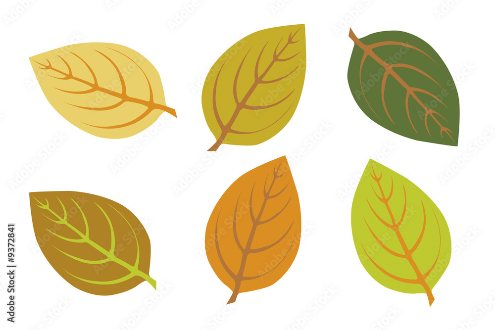 Fototapeta premium a set colorful autumn leaves