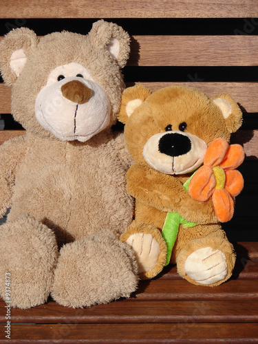 Pair toy bears