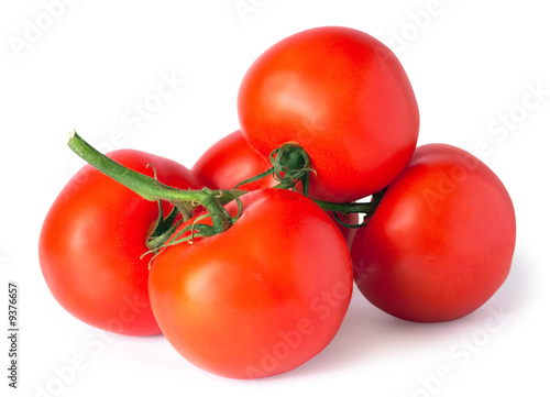 branch of red juicy tomatoes (isolated on white with shadows)
